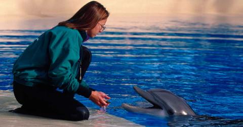 A woman with a dolphin. (Representative Cover Image Source: Getty Images | Stewart Cohen)