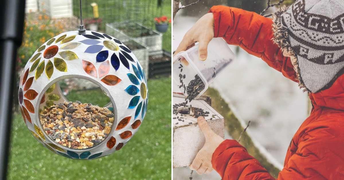 (L) Backyard Expressions' mosaic glass bird feeder for small to medium-sized birds (Cover Image Source: Amazon) | (R) A person filling up a bird feeder with seeds. (Representative Cover Image Source: Getty Images | Eva Katalyn)
