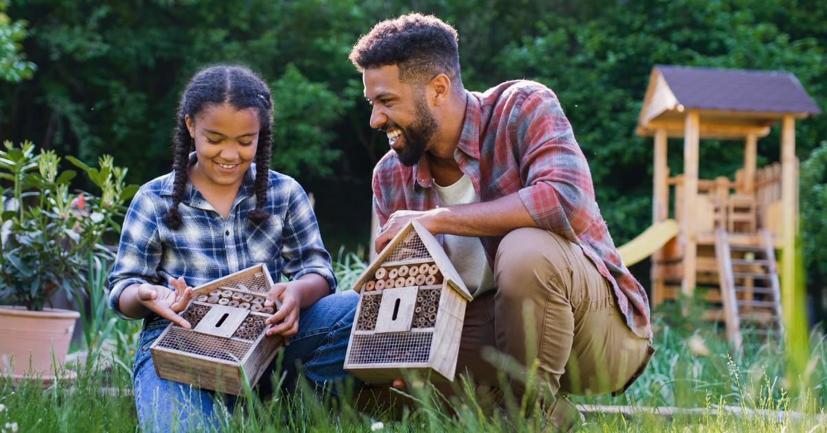 Father daughter duo make bee hotels