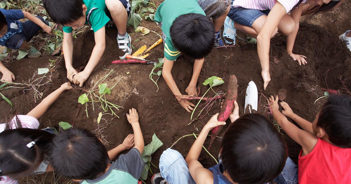 why should parents use montessori toddlers