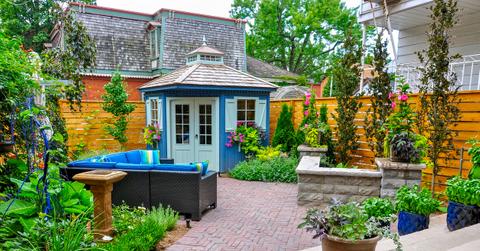 Natural privacy wall in backyard surrounded by blue shed and plants