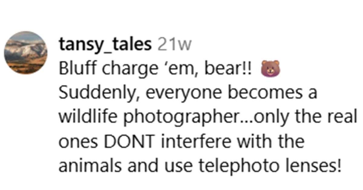 pn/cbbb da bd a ebaf