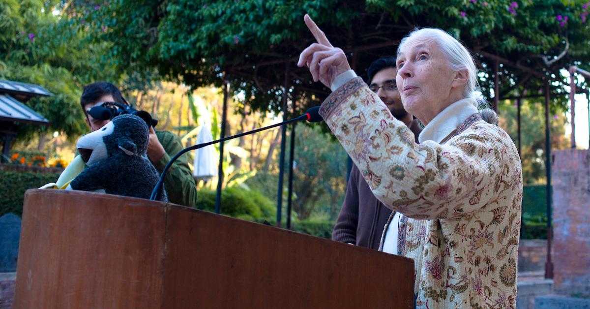 jane goodall