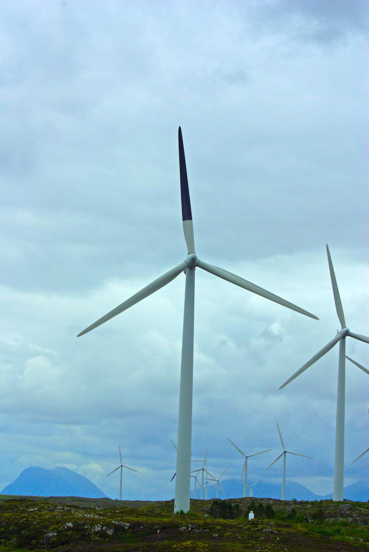 wind turbines birds paint