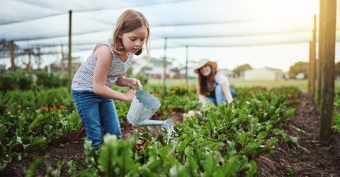 kids gardening