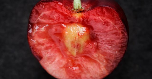 Are Cherries Safe for Dogs? This Fruit May Not Be Safe