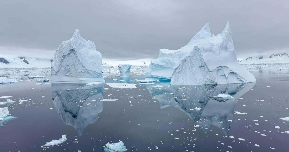 Iceberg reflections in Antarctica. (Representative Cover Image Source: Getty Images | Andrew Peacock)