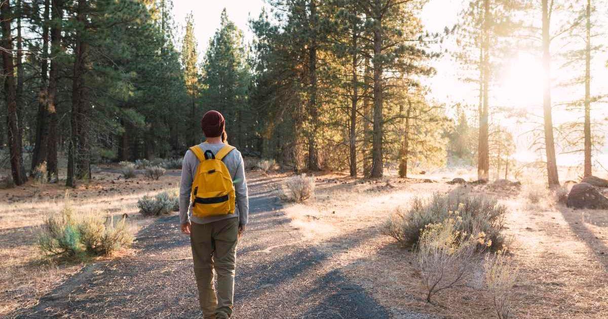 A man walking in a national park. (Representative Cover Image Source: Getty Images | Westend61)