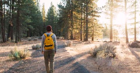 A man walking in a national park. (Representative Cover Image Source: Getty Images | Westend61)