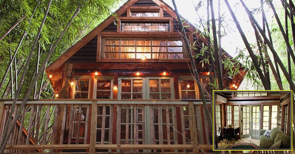 Best Airbnb Treehouses