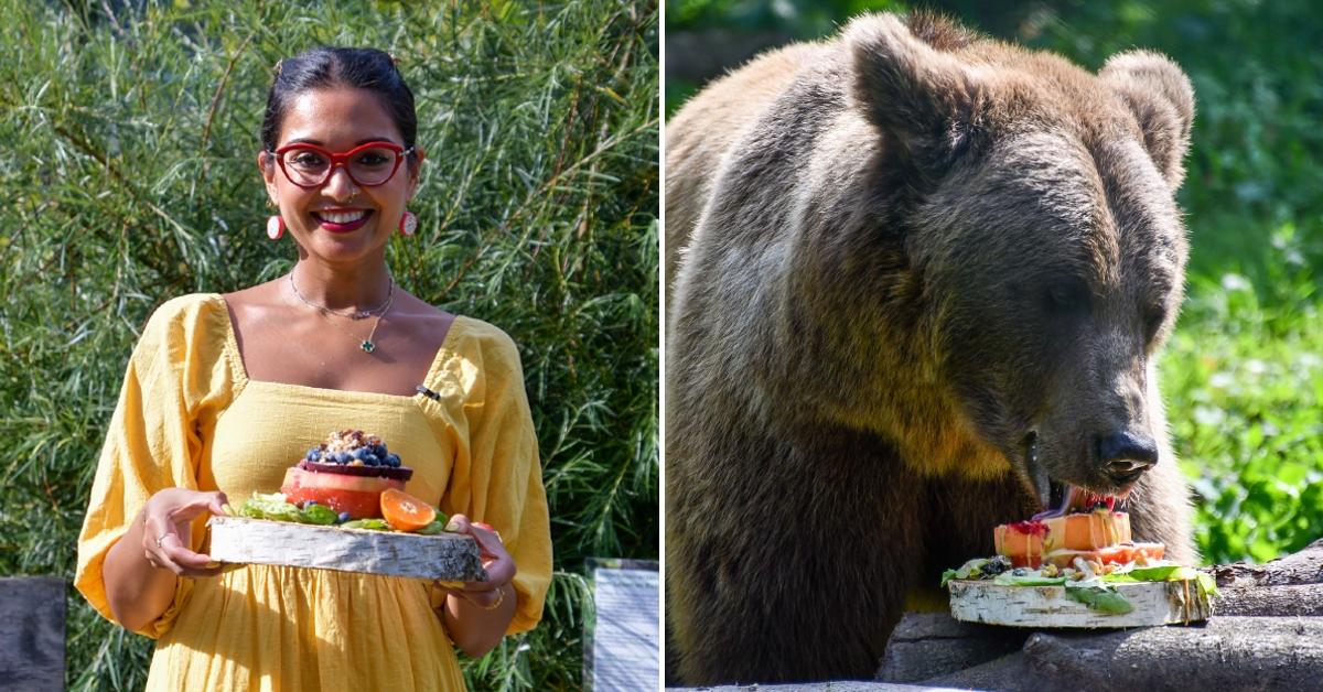 Side-by-side photos of Chef Priyanka Naik holding her Bear-y Fruit Tartare dish, and a brown rescue bear at  Four Paws's Bear Sanctuary Müritz in Germany eating her dish 