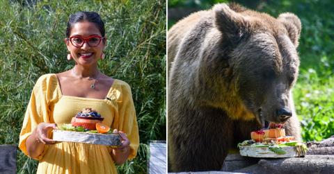 Side-by-side photos of Chef Priyanka Naik holding her Bear-y Fruit Tartare dish, and a brown rescue bear at Four Paws's Bear Sanctuary Müritz in Germany eating her dish