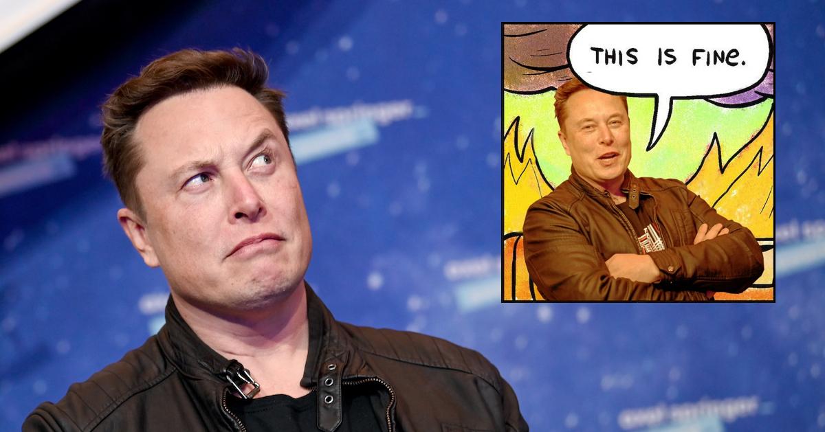 Elon Musk Memes Poking Fun At The CEO Tesla And X