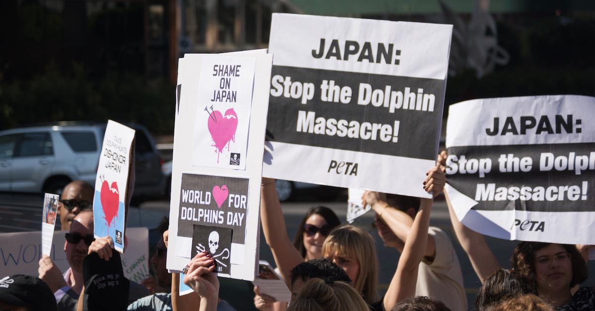 Taiji Protest 2014