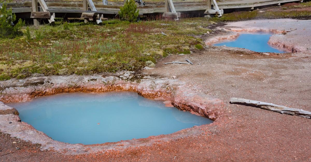 Blue pools form next to the rocks and grass in Yellowstone National Park