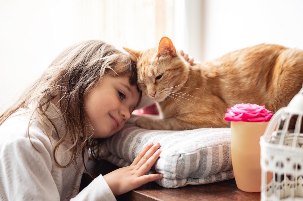 A young, smiling child nuzzles her head against an orange cat laying atop a striped pillow.