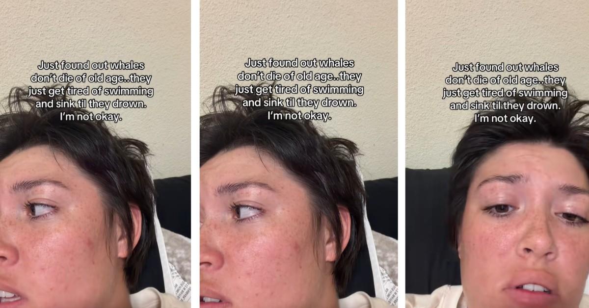 A woman talks to her boyfriend about how whales die