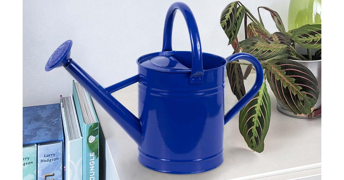 blue powder coated steel watering can on a white surface beside a plant and books.