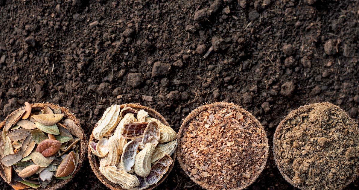 Does Indoor Compost Smell?