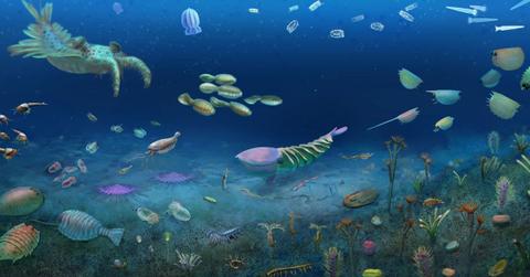 An artistic reconstruction of the Huayuan ecosystem (Cover Image Source: Zeng et al., Nature, 2026)