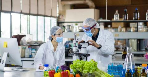 Scientists working in a lab. (Representative Cover Image Source: Getty Images | Thana Prasongsin)