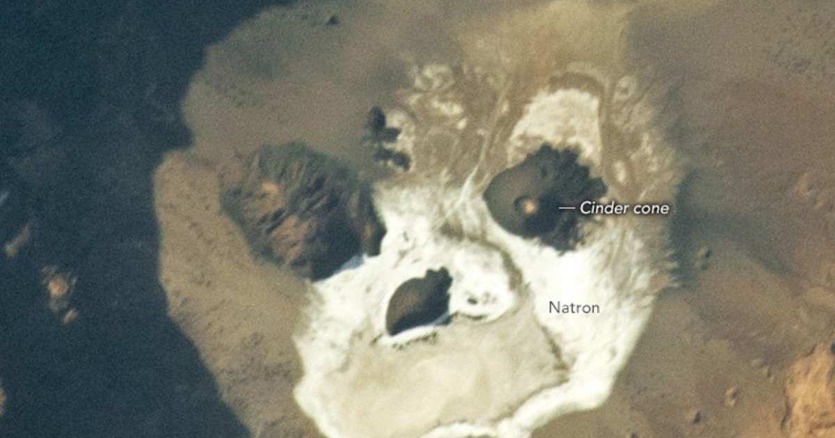 NASA Scientists spotted a 'glowing white skull' in the sands of the Sahara Desert. (Cover Image Source: X | @NASAEarth)