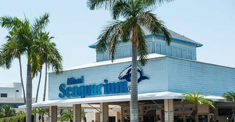 The exterior of the Miami Seaquarium surrounded by trees of varying sizes