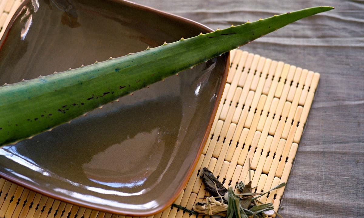 Aloe vera leaf