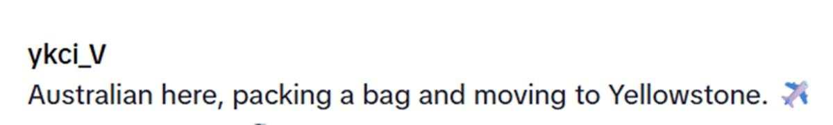 pn/cc a bf b efdccac