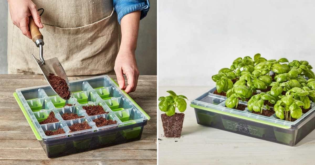 (L) Gardener adds soil to the seed tray; (R) Seedlings sprout in the seed tray. (Cover Image Source: Amazon)