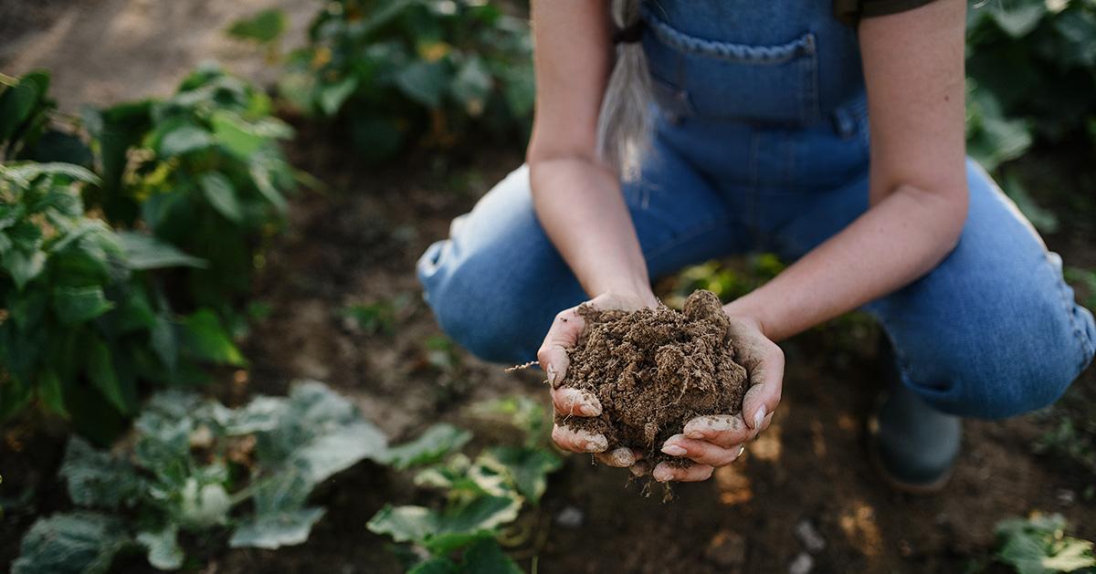 Close up of female famer hands holding soil outdoors at community farm. 