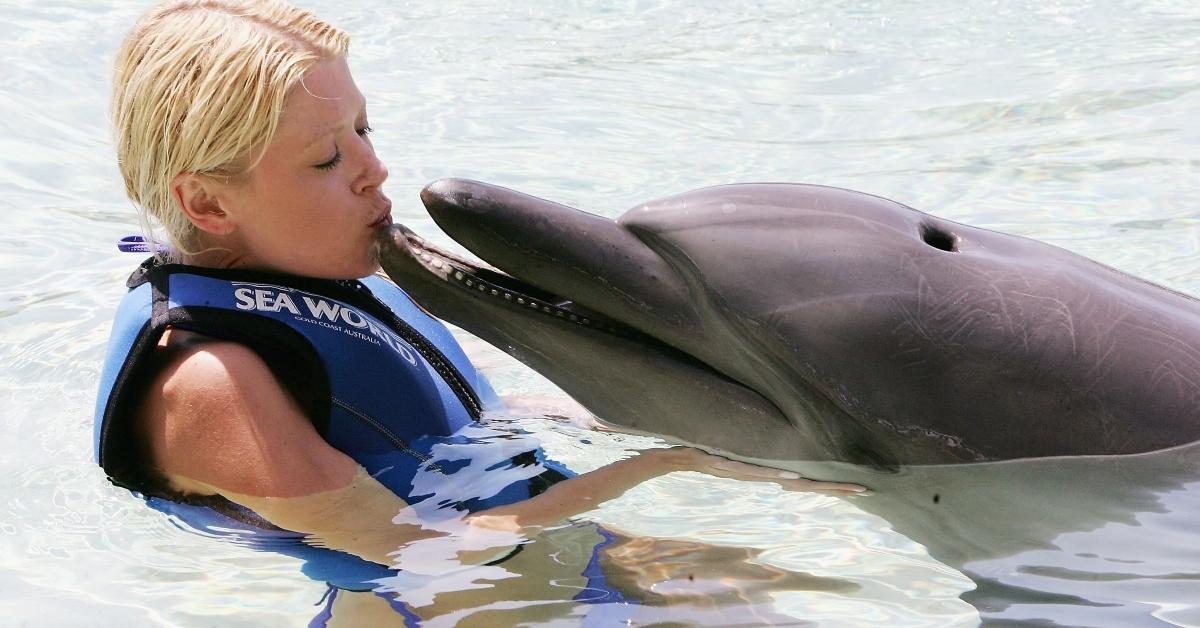 Male bottlenose dolphins form gangs to get a mate