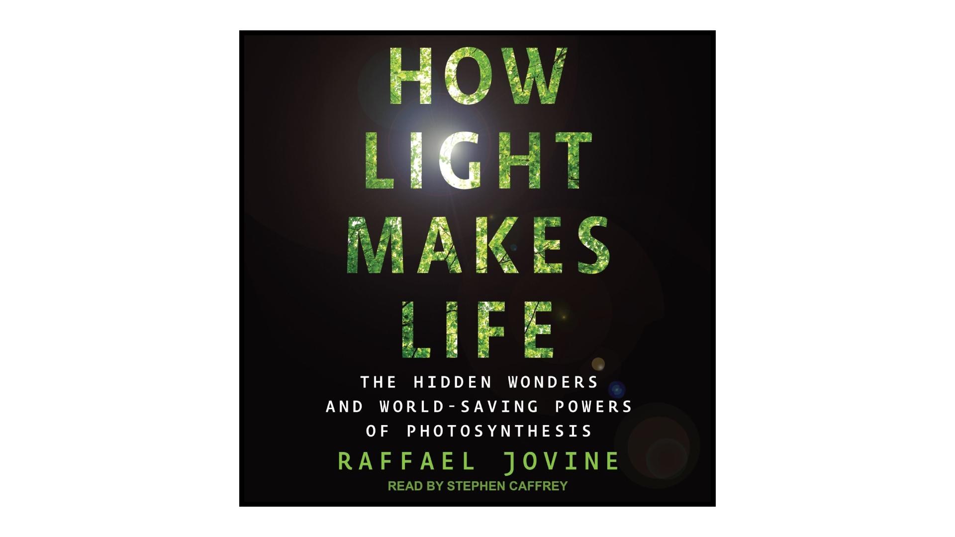 The cover of How Light Makes Life by Raffael Jovine.