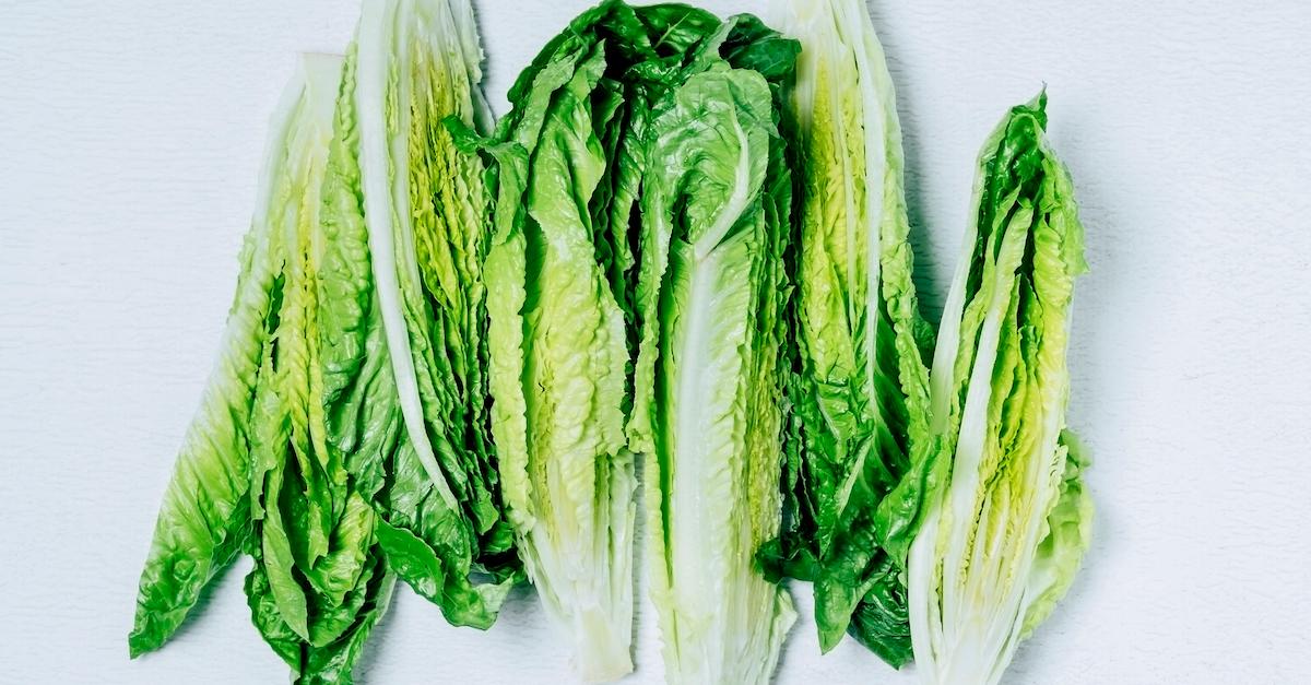 lettuce recall