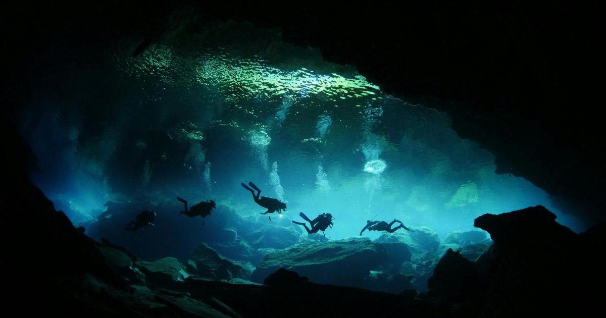 Multiple divers in an underwater cave. (Representative Cover Image Source: Pexels | Caroline O.marcel)