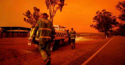 australia bush fires impact