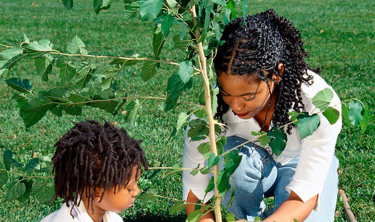 A mother and child plant a tree outside