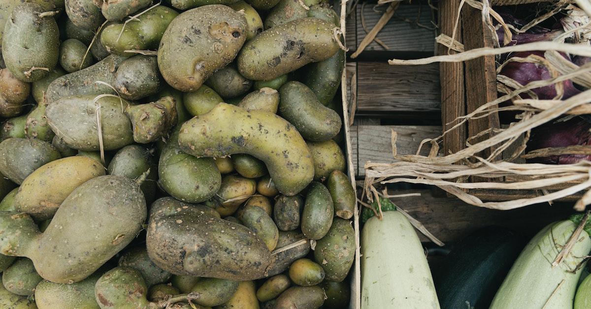 Can You Eat Sprouted Potatoes?