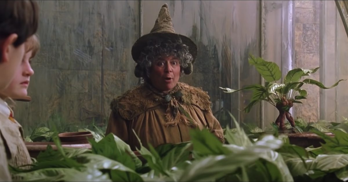 Professor Sprout Harry Potter