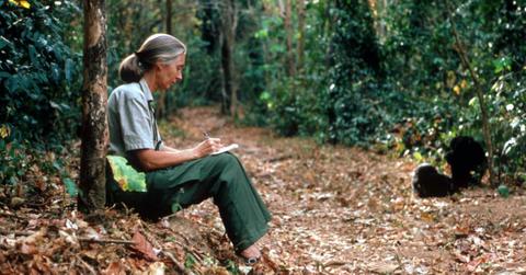 Jane Goodall