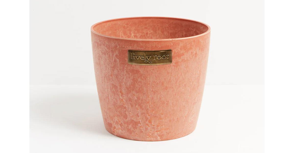 Lively Root terracotta eco planter