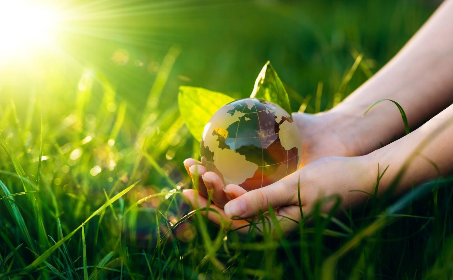 An illustration of two hands holding a globe within a field of grass with the sun shining upon it.