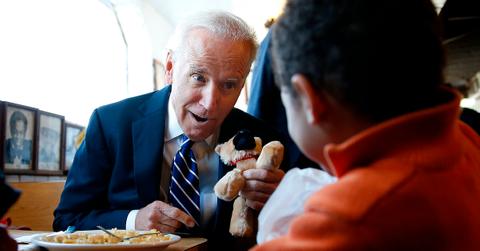 joe biden dogs