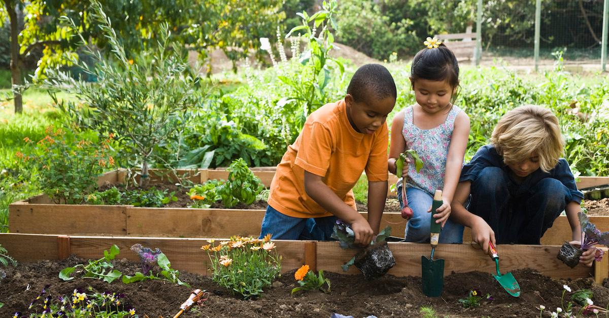 How to introduce kids to an eco-friendly & sustainable lifestyle