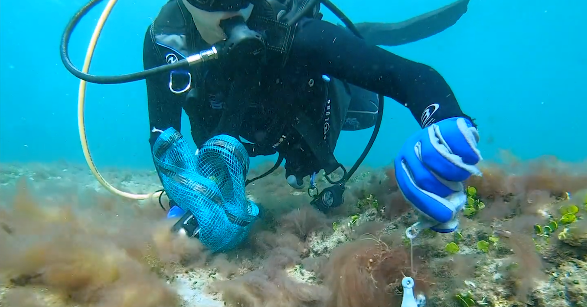 New York Scuba Divers Help Clean Up Ocean