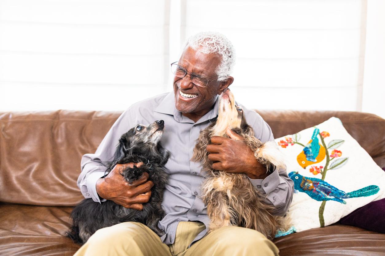 A smiling older adult man holds two dogs in his arms on a couch as the dogs look up at him.