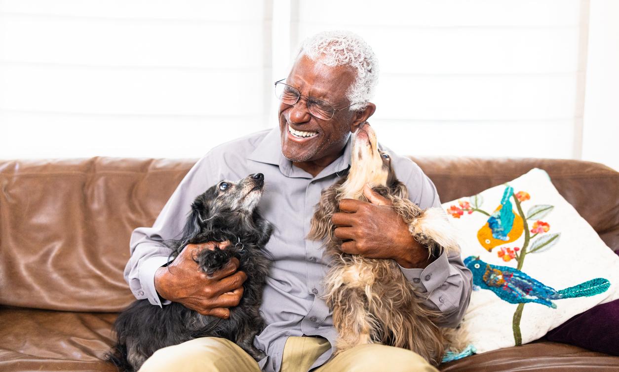 At What Age Is a Dog Considered a Senior? About Canine Aging