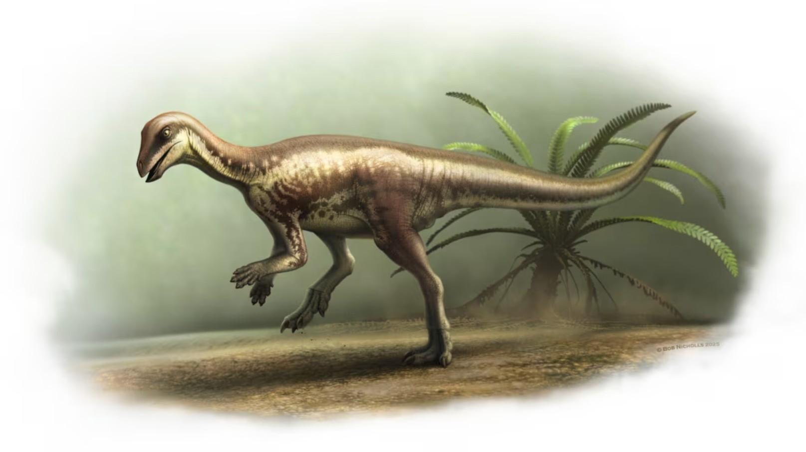 A new dinosaur species is depicted.