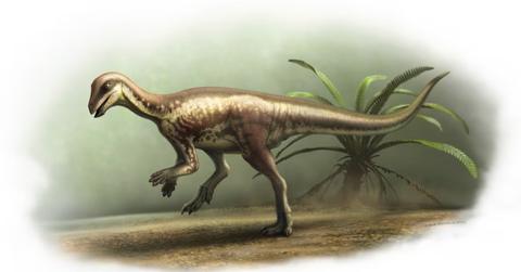 A new dinosaur species is depicted.