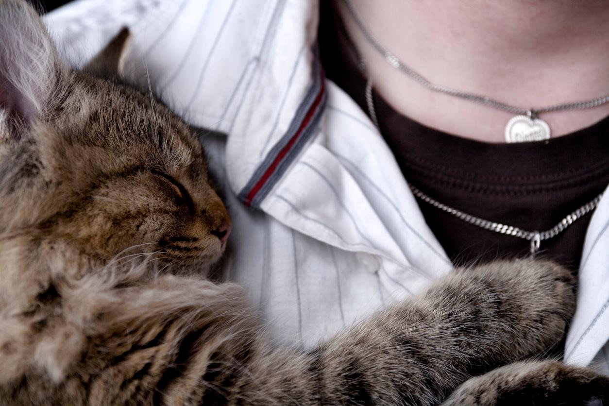 A cat sleeping on a person's chest. 